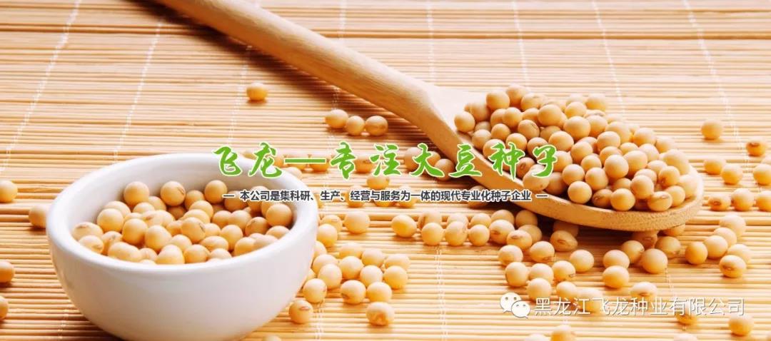 1640652131880602.jpg 1.jpg