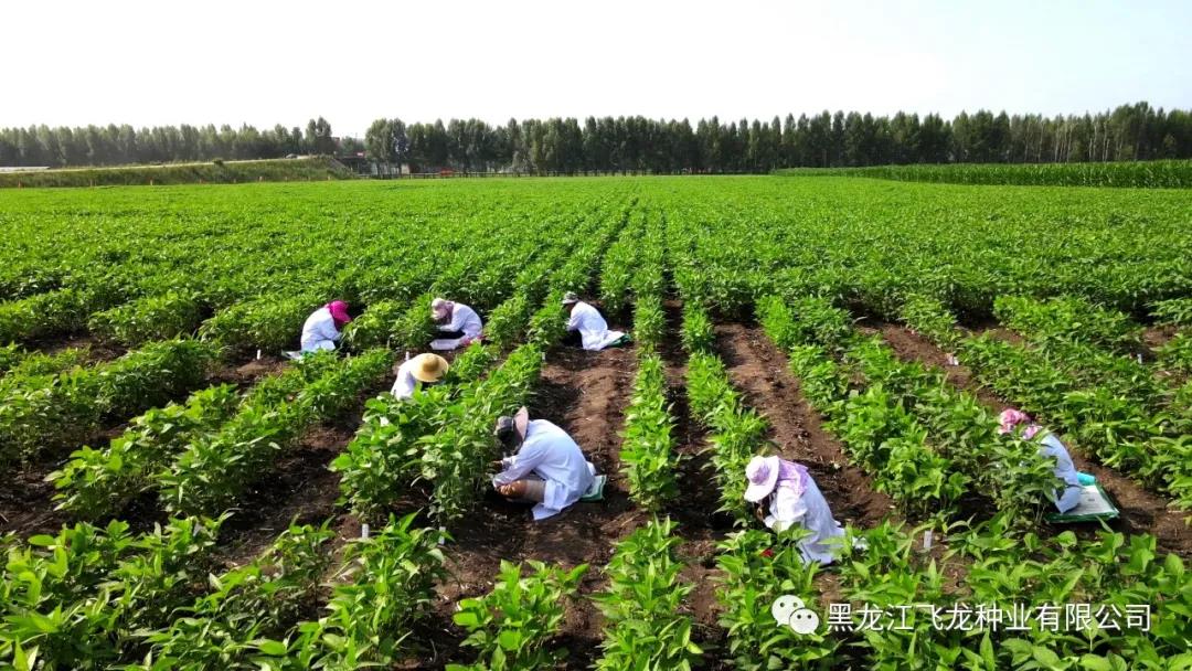 1640655517439053.jpg 5.jpg