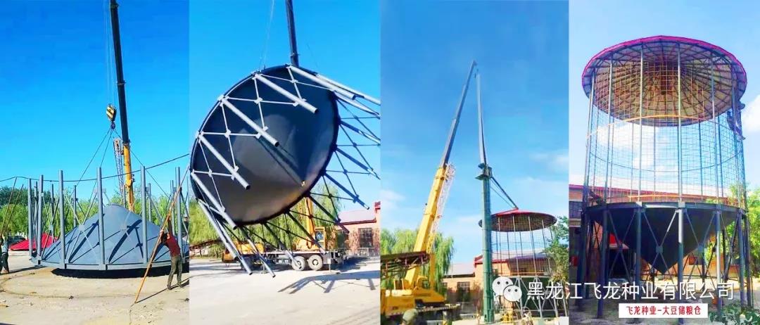 1640658914138846.jpg 10.jpg