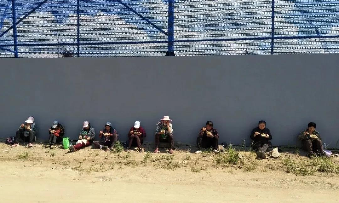 1640659508102867.jpg 8.jpg