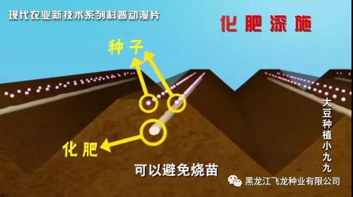 1640675649696942.jpg 5.jpg