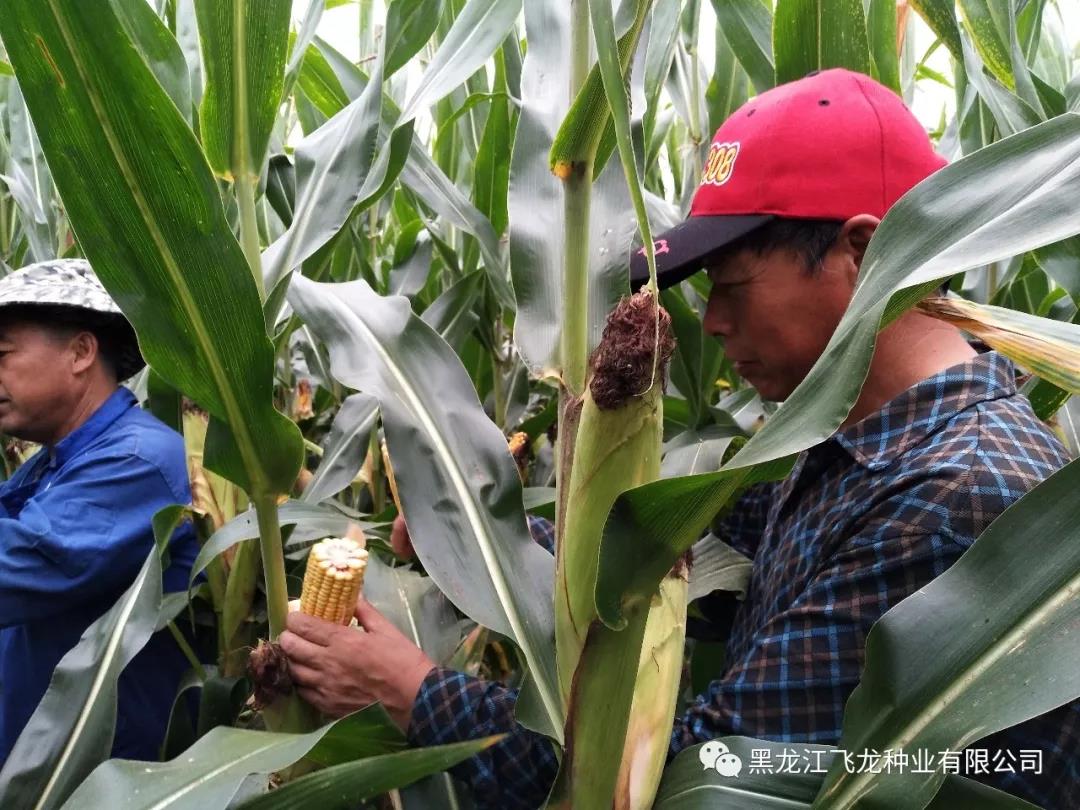 1640677525494650.jpg 1.jpg