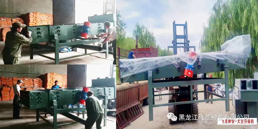 1640738542889811.jpg 5.jpg