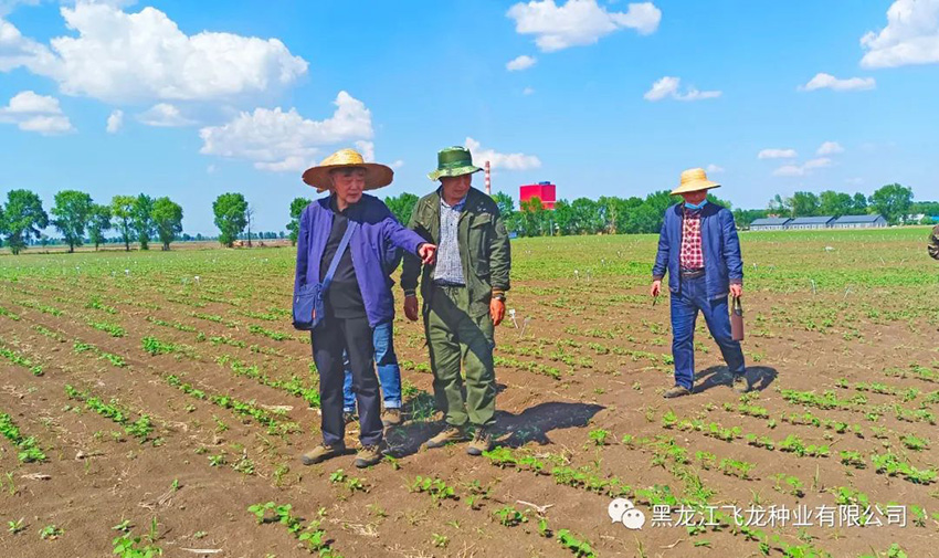 1656469329637171.jpg 10.jpg