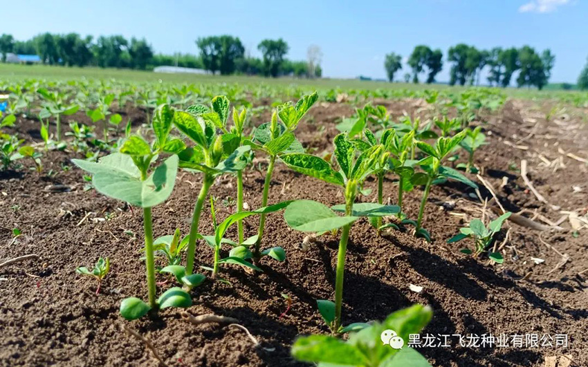 1656469354405144.jpg 13.jpg