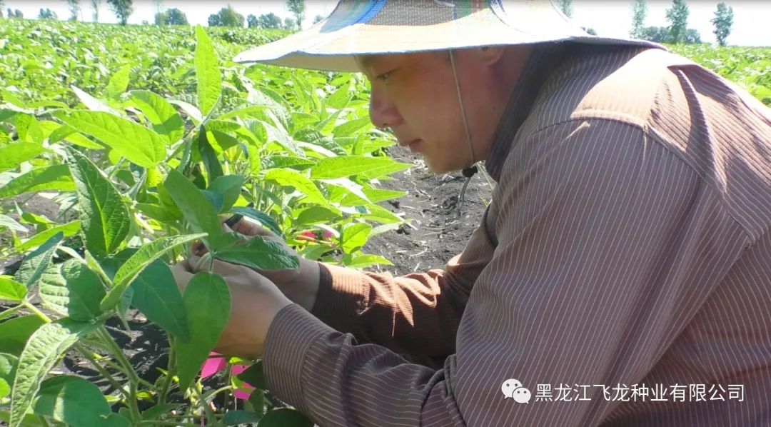 1658970563943902.jpg 10.jpg