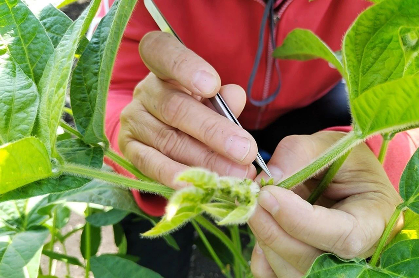 1689726537100104.jpg 4.jpg